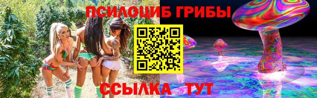 Галлюциногенные грибы ЛСД  где можно купить наркотик  Муравленко  Вход с VPN 