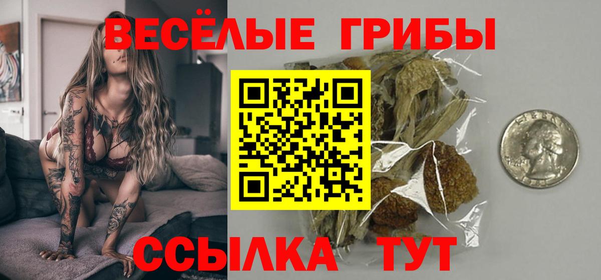 Галлюциногенные грибы MAGIC MUSHROOMS Муравленко